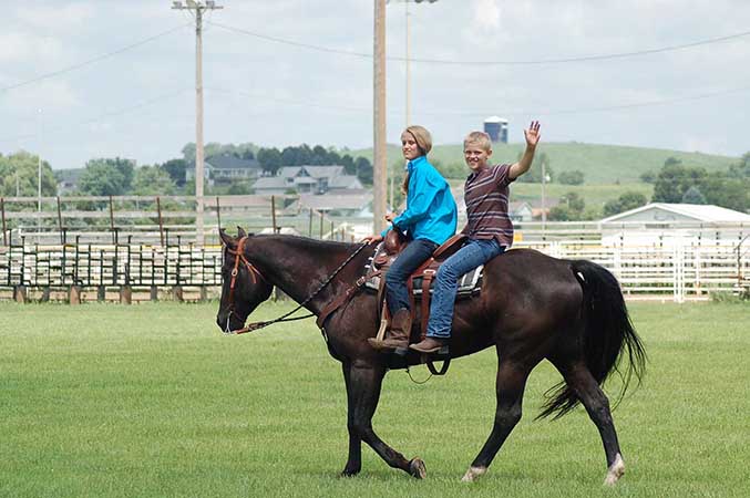 Pauley Performance Horses for Sale