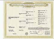 AQHA Papers Magnums Starlight